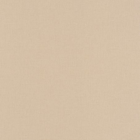 Papier peint intissé Uni taupe - OUTLINES - Caselio - OTLS64522412