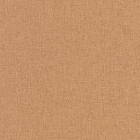 Papier peint intissé Uni marron - OUTLINES - Caselio - OTLS64522578