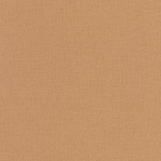 Papier peint intissé Uni marron - OUTLINES - Caselio - OTLS64522578