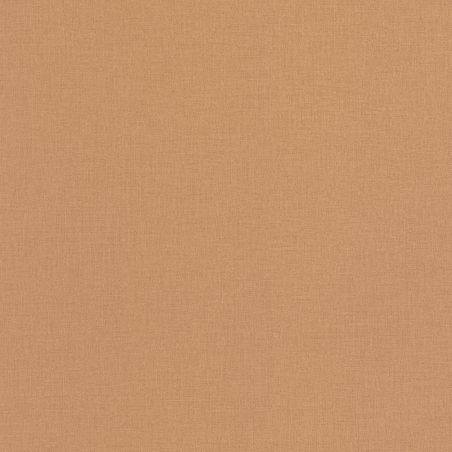 Papier peint intissé Uni marron - OUTLINES - Caselio - OTLS64522578