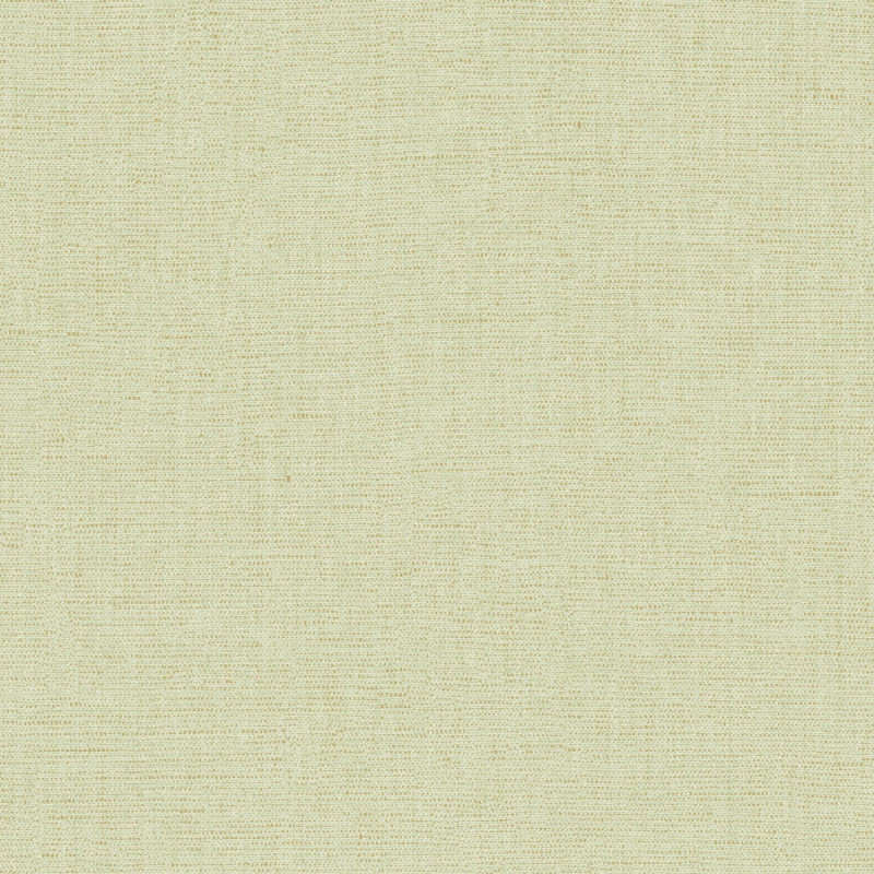 Papier peint vinyle sur intissé Uni métallisé irisé vert pistache or - Élégance - Caselio - ELC103237325