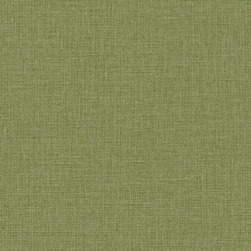 Papier peint vinyle sur intissé Uni vert kaki mat - Green Life 2 - Caselio - GNL2104017951