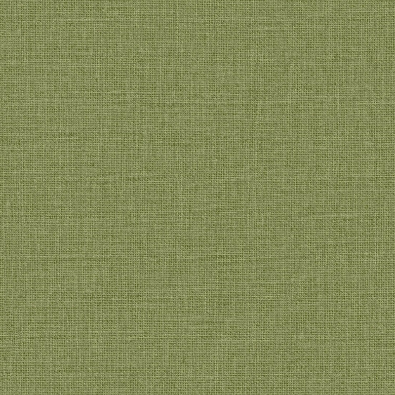 Papier peint vinyle sur intissé Uni vert kaki mat - Green Life 2 - Caselio - GNL2104017951