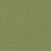 Papier peint vinyle sur intissé Uni vert kaki mat - Green Life 2 - Caselio - GNL2104017951