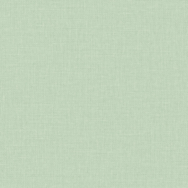 Papier peint vinyle sur intissé Uni vert d'eau mat - Green Life 2 - Caselio - GNL2104017468