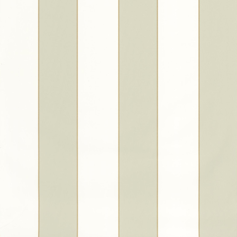 Papier peint vinyle sur intissé Golden Lines vert amande et blanc - Basics - Caselio - BAI101077036