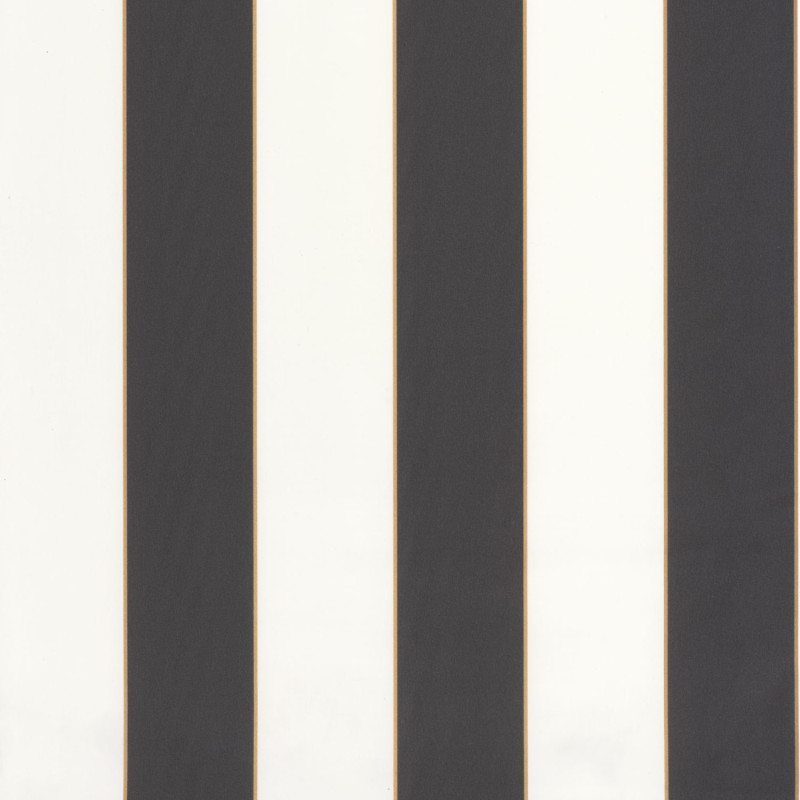 Papier peint vinyle sur intissé Golden Lines noir et blanc - Basics - Caselio - BAI101072092