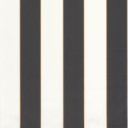 Papier peint vinyle sur intissé Golden Lines noir et blanc - Basics - Caselio - BAI101072092