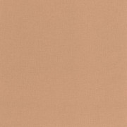 Papier peint vinyle sur intissé Uni cuivre - Basics - Caselio - BAI64524344