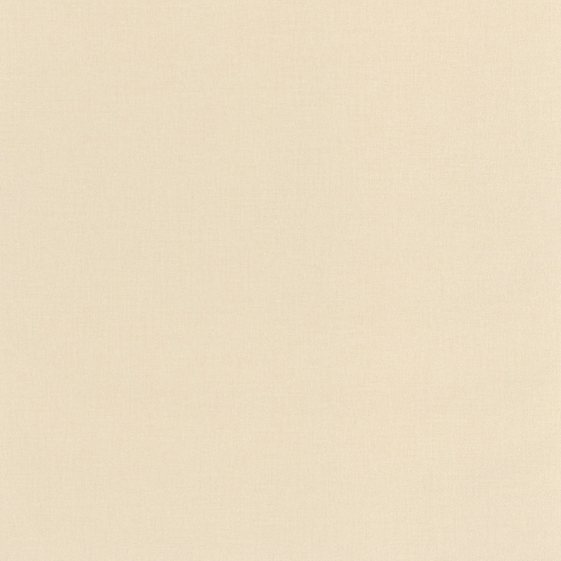 Papier peint vinyle sur intissé Uni taupe clair - Basics - Caselio - BAI64522220