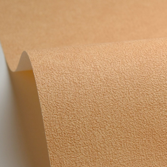 Papier peint vinyle sur...