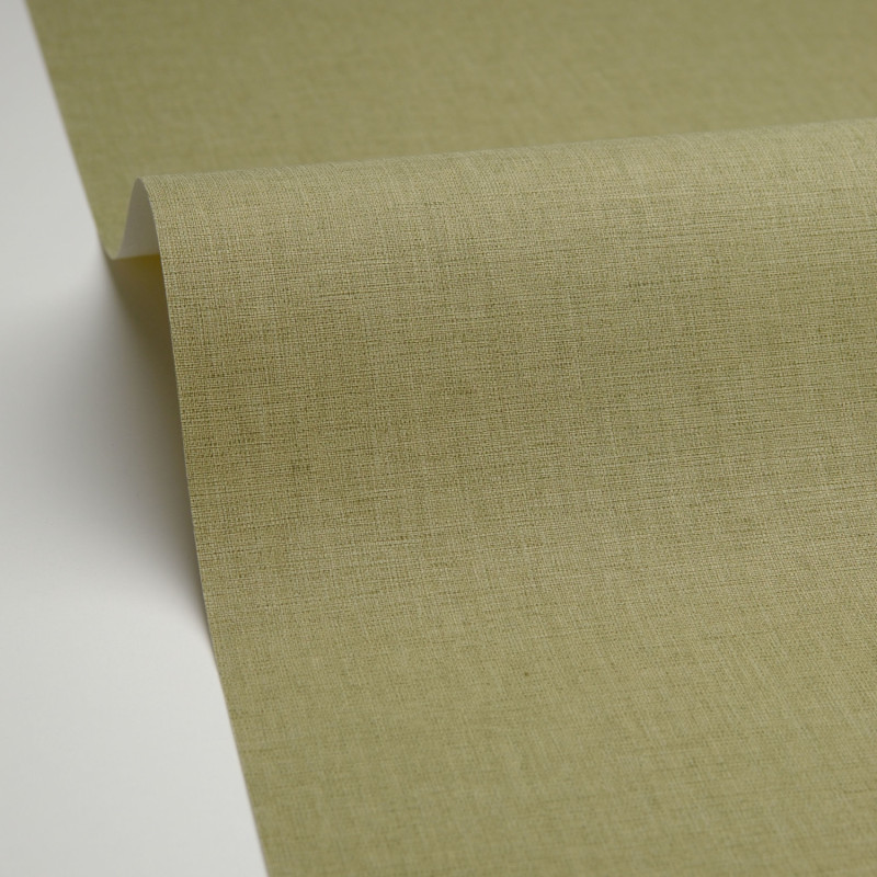 Papier peint vinyle sur intissé Uni mat vert pinède - Graphic - Caselio - GPC103227412