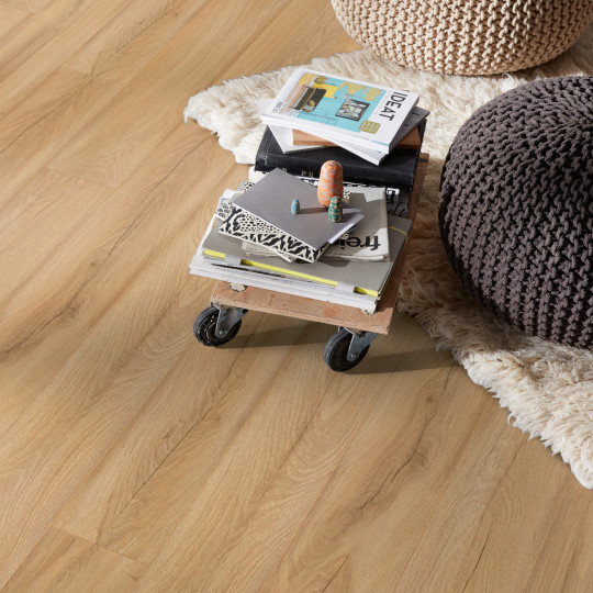 Sol stratifié - parquet...
