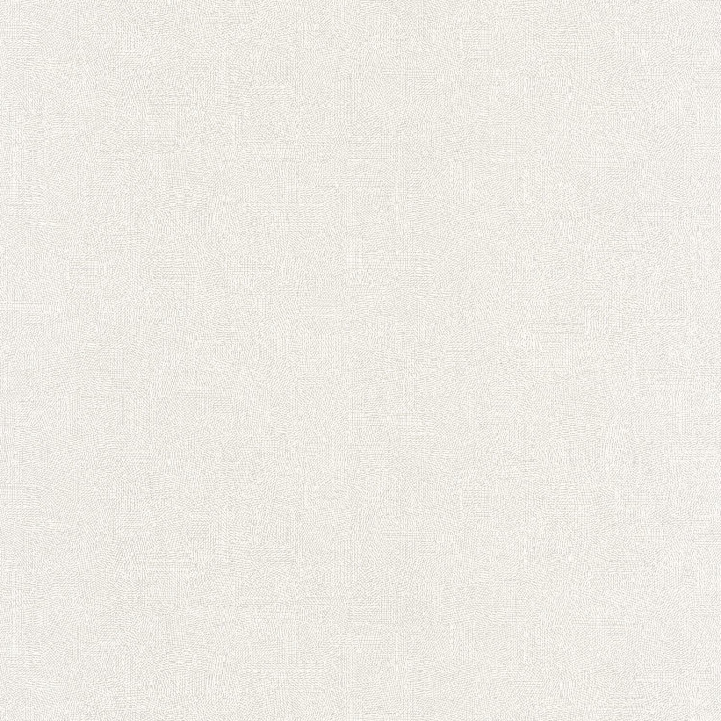 Papier peint vinyle sur intissé uni blanc givré - Empreinte - Casadeco - EMPR88700108