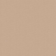 Papier peint Uni natté cannelle - Natté - Caselio - NAE101562010