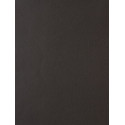 Papier peint Lola noir - LOVE - Caselio - LOV57919120