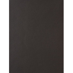Papier peint Lola noir - LOVE - Caselio - LOV57919120
