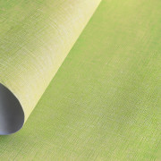 Papier peint Linen uni vert moyen - LINEN - Caselio - INN68527483