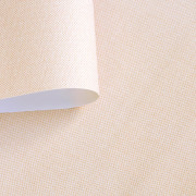 Papier peint Uni natté beige champagne - Natté - Caselio - NAE101562500