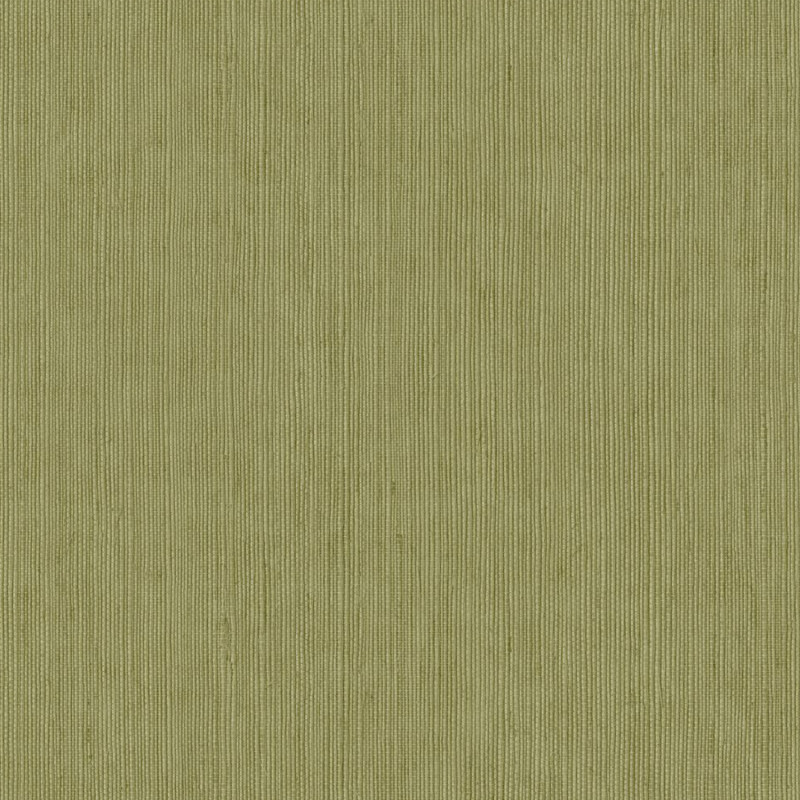 Papier peint vinyle sur intissé Sisal vert kaki - Bornéo - Caselio - BORN106017450
