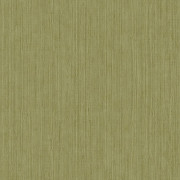 Papier peint vinyle sur intissé Sisal vert kaki - Bornéo - Caselio - BORN106017450