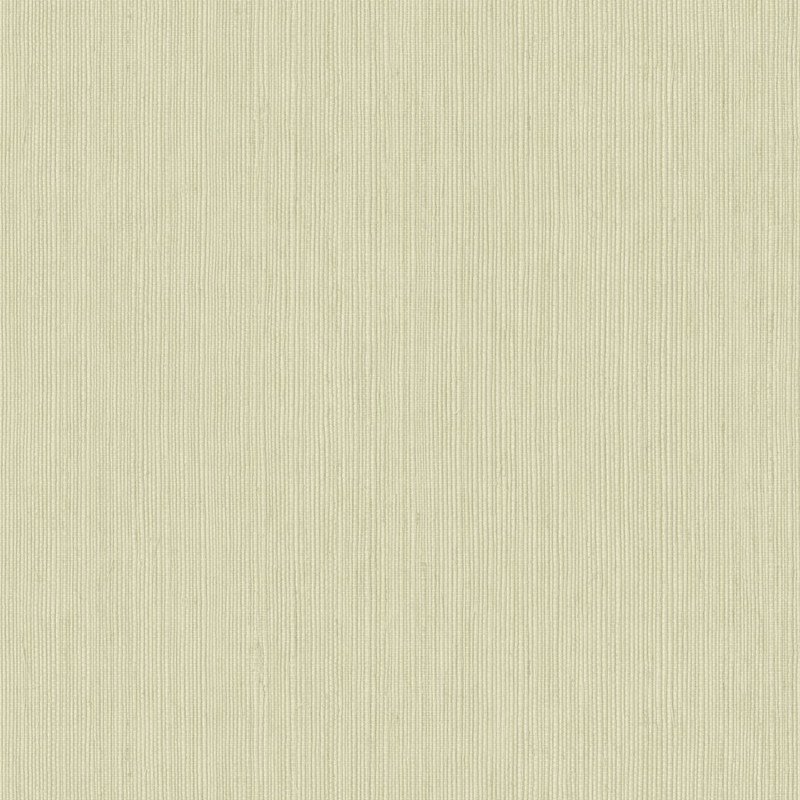 Papier peint vinyle sur intissé Sisal vert amande - Bornéo - Caselio - BORN106017300