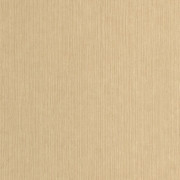 Papier peint vinyle sur intissé Sisal biscuit - Bornéo - Caselio - BORN106011370
