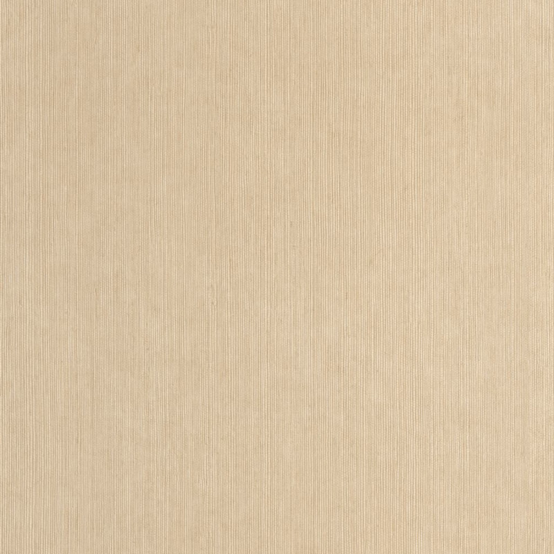 Papier peint vinyle sur intissé Sisal beige - Bornéo - Caselio - BORN106011245