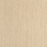 Papier peint vinyle sur intissé Sisal beige - Bornéo - Caselio - BORN106011245
