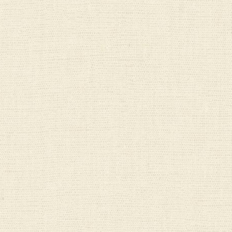 Papier peint vinyle sur intissé Uni mat coquille d'oeuf - Twist - Caselio - TST103221050
