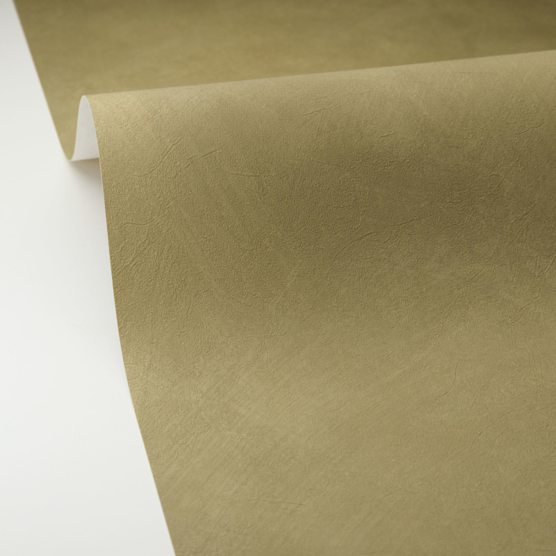 Papier peint vinyle sur intissé Uni la Chaux vert kaki - Origine - Caselio - OGN106087370