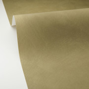 Papier peint vinyle sur intissé Uni la Chaux vert kaki - Origine - Caselio - OGN106087370