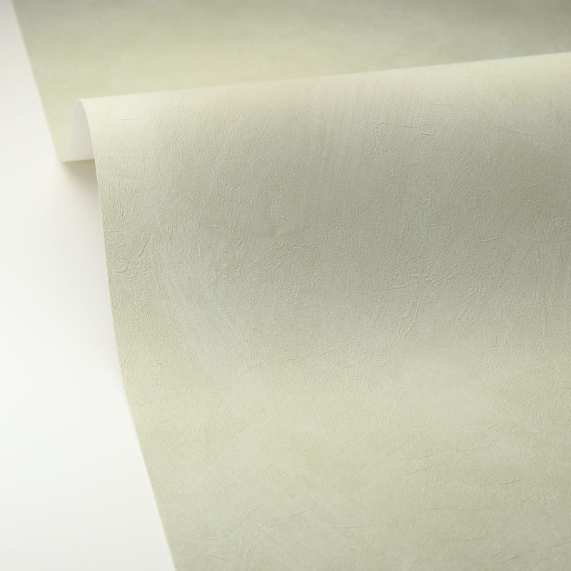 Papier peint vinyle sur intissé Uni la Chaux vert d'eau - Origine - Caselio - OGN106087046