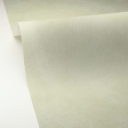 Papier peint vinyle sur intissé Uni la Chaux vert d'eau - Origine - Caselio - OGN106087046