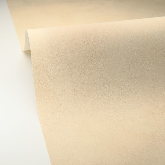 Papier peint vinyle sur...