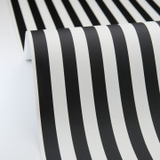 Papier peint vinyle sur intissé Talea noir et blanc - Art Of Botany - Caselio - AOB106670968