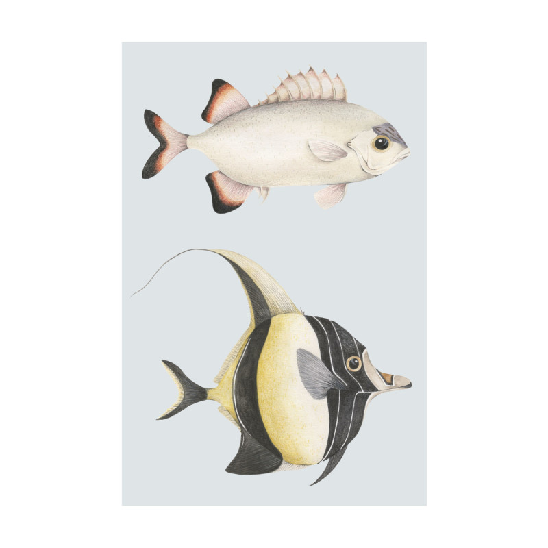 Affiche Stan et Léon les poissons - 30x40 cm - Seaside - Casadeco - SEAS201686202