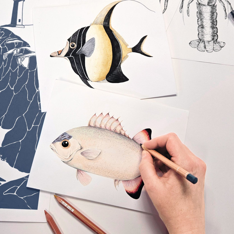 Affiche Stan et Léon les poissons - 50x70 cm - Seaside - Casadeco - SEAS201686204