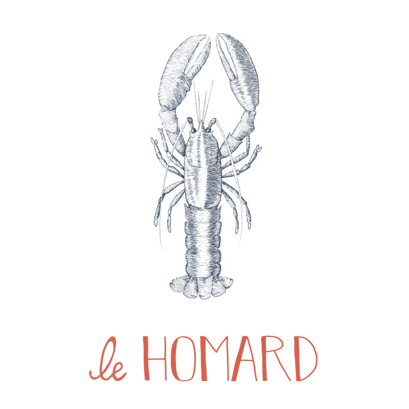 Affiche Le Homard bleu marine - 30x40 cm - Seaside - Casadeco - SEAS201636802