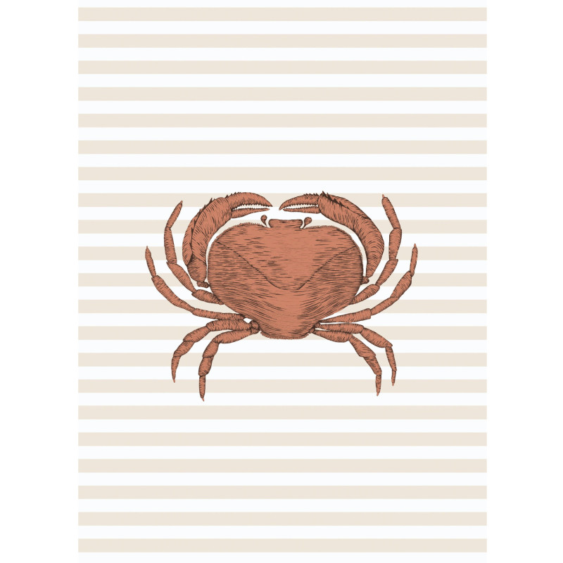 Affiche Bruno Le Tourteau terracotta - 30x40 cm - Seaside - Casadeco - SEAS201628102