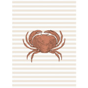 Affiche Bruno Le Tourteau terracotta - 30x40 cm - Seaside - Casadeco - SEAS201628102