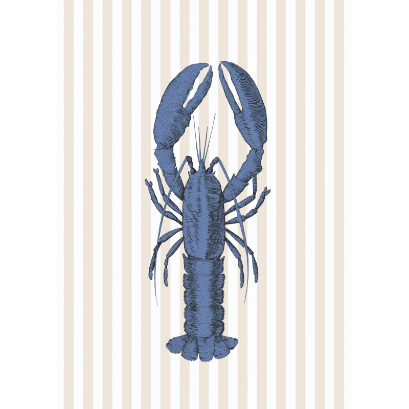 Affiche Clarisse L'Écrevisse bleu et beige - 50x70 cm - Seaside - Casadeco - SEAS201616104