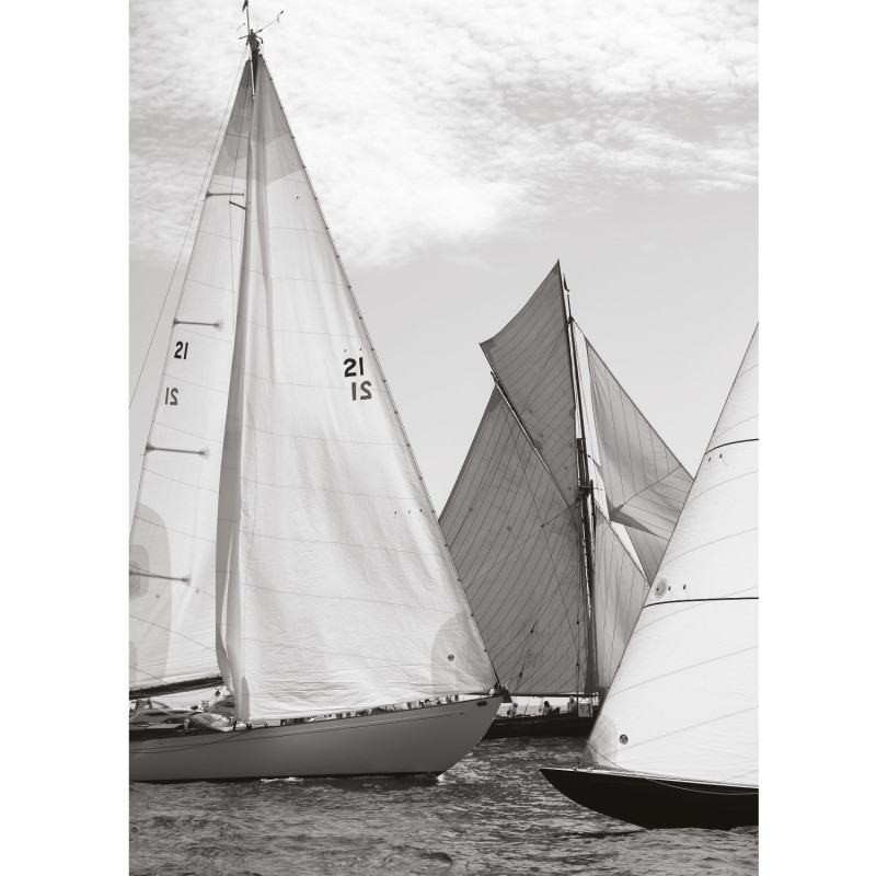 Affiche Voiliers de Plaisance noir et blanc - 30x40 cm - Seaside - Casadeco - SEAS201589302