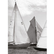 Affiche Voiliers de Plaisance noir et blanc - 30x40 cm - Seaside - Casadeco - SEAS201589302