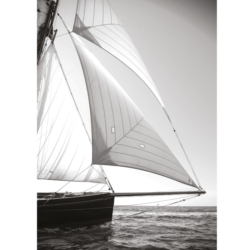 Affiche Régate en solitaire noir et blanc - 50x70 cm - Seaside - Casadeco - SEAS201579204