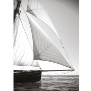 Affiche Régate en solitaire noir et blanc - 50x70 cm - Seaside - Casadeco - SEAS201579204