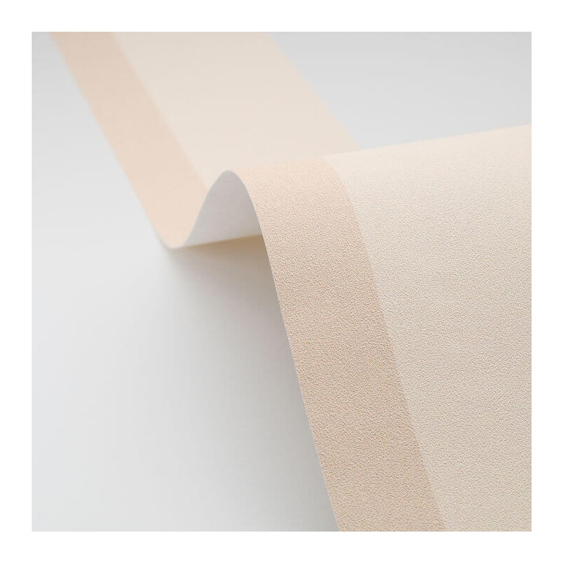 Frise papier peint intissé Classic Border beige - Line Up - Caselio - LNP106771000