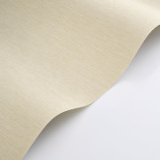 Papier peint vinyle sur intissé Boaco beige sable - Vegetals - Casadeco - VEGE201301221
