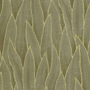 Papier peint intissé Sansevieria vert mousse - Casadeco - RIOC201837807