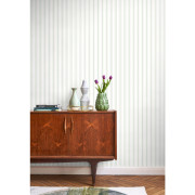 Papier Peint intissé Rayure vert amande - LES BELLES TOILES DE JOUY 2 - Casadeco - BTJD81577104